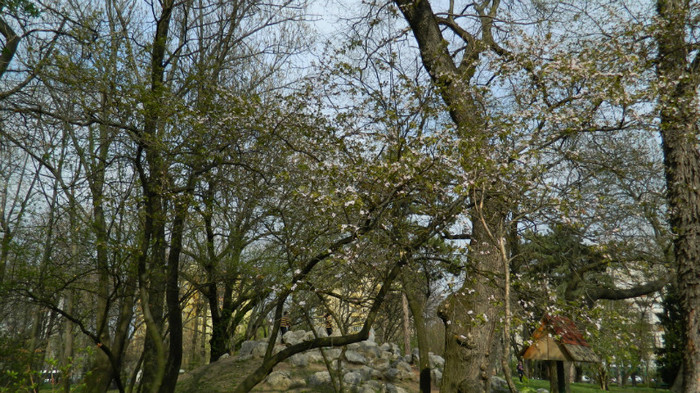 DSCN1413