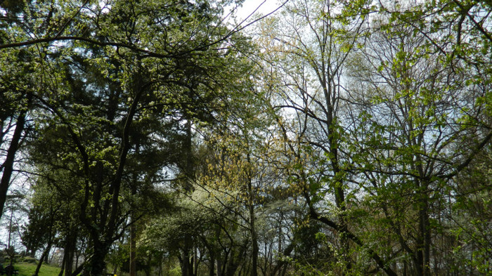 DSCN1414