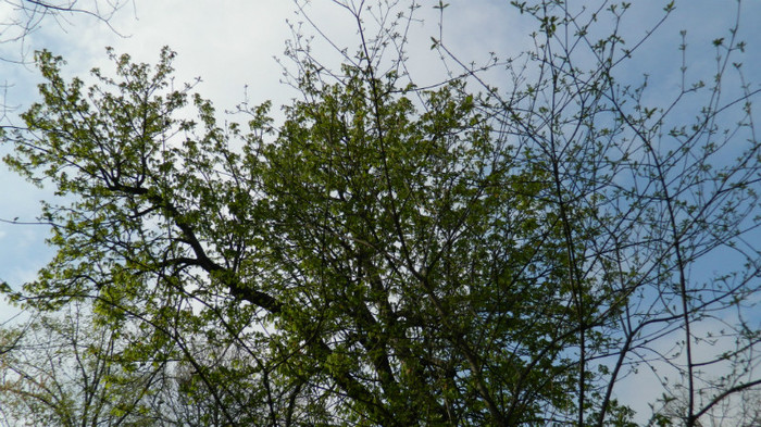 DSCN1415