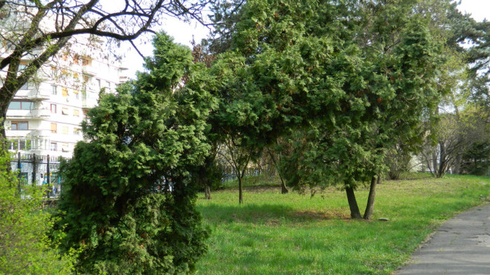 DSCN1424