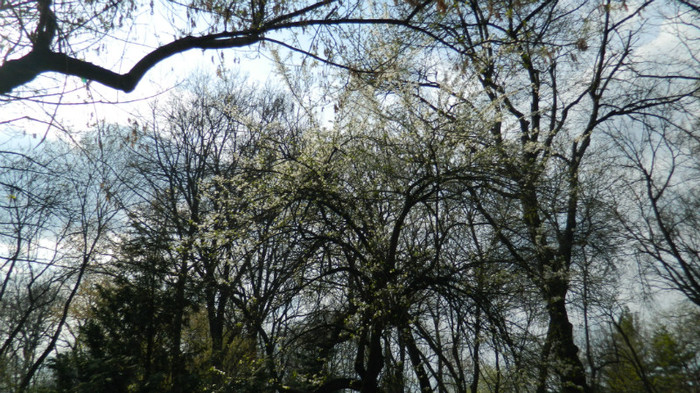 DSCN1432