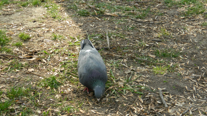 DSCN1436