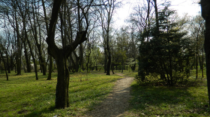 DSCN1437