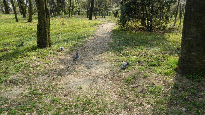 DSCN1438