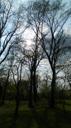 DSCN1442