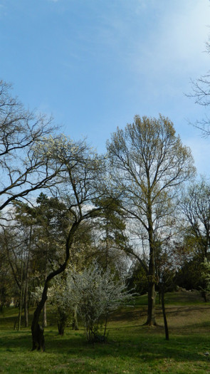 DSCN1447