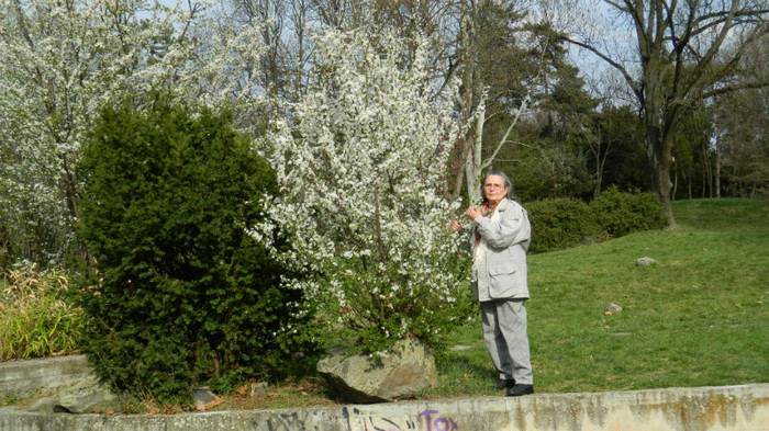 DSCN1457