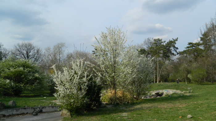 DSCN1461