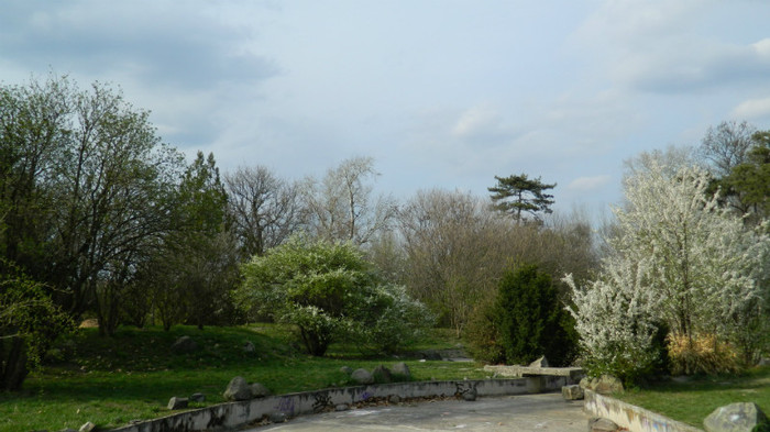 DSCN1462