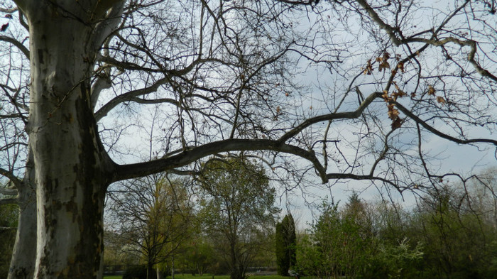 DSCN1469