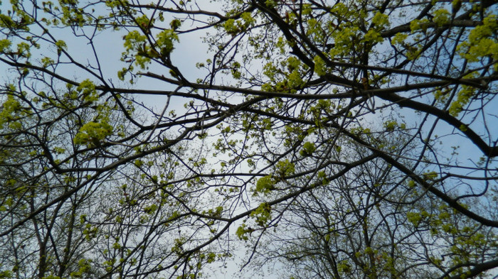 DSCN1470