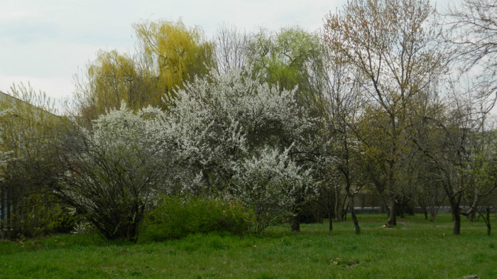 DSCN1477