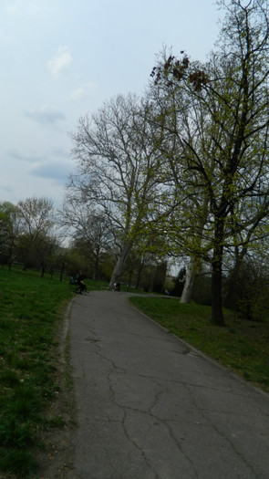 DSCN1478
