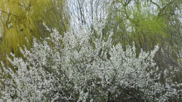 DSCN1481