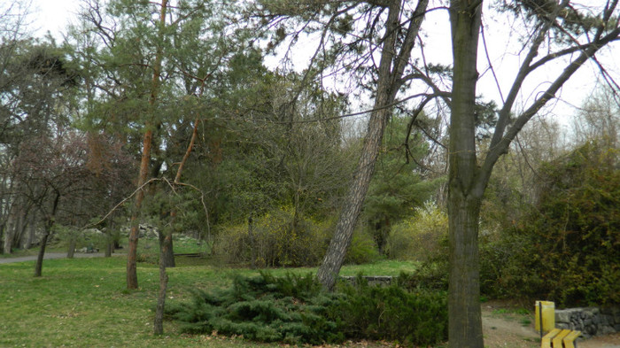 DSCN1500