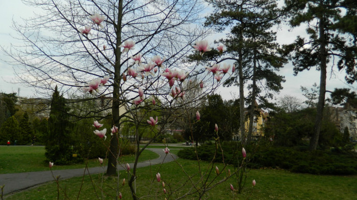 DSCN1501