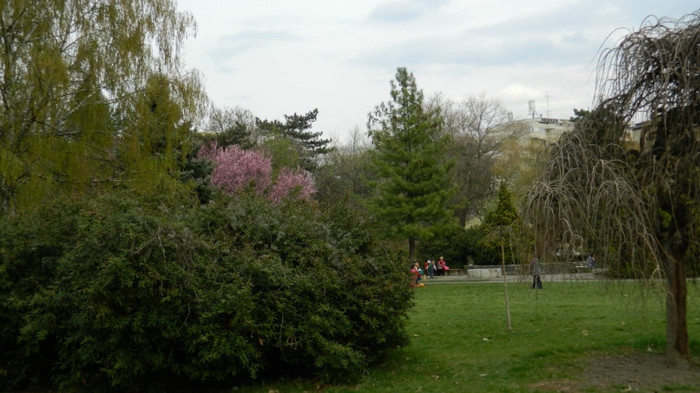DSCN1514