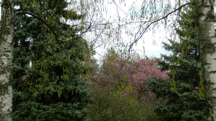 DSCN1520