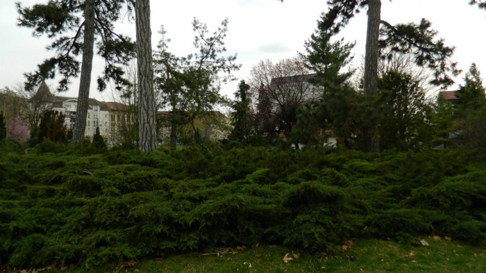 DSCN1527