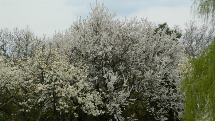 DSCN1535