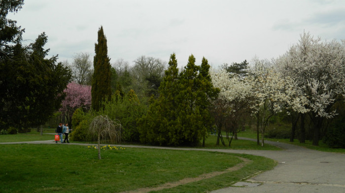 DSCN1536