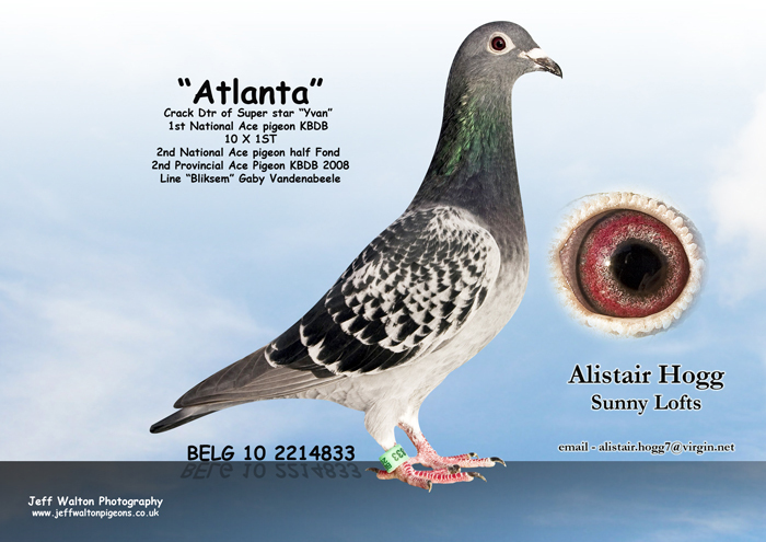 atlanta-large