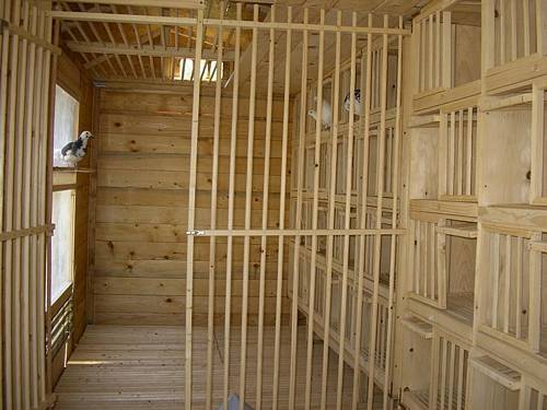 model-crescatorie-interior-16