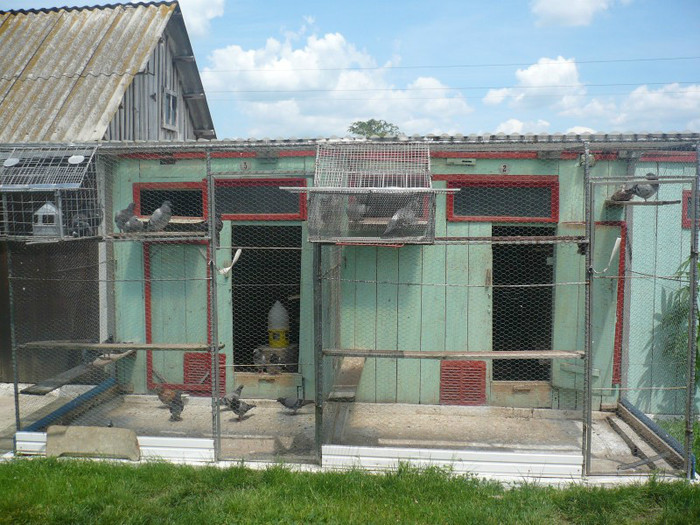 P1020050