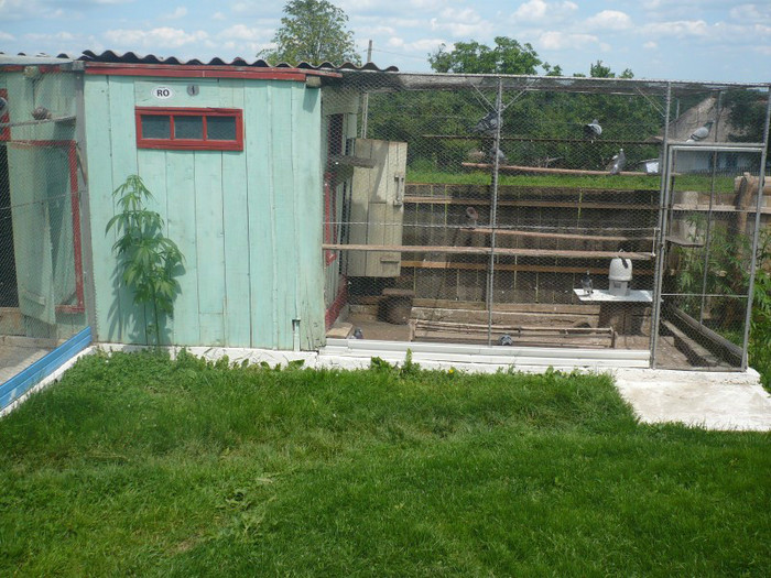 P1020051