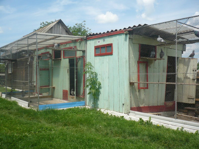 P1020054