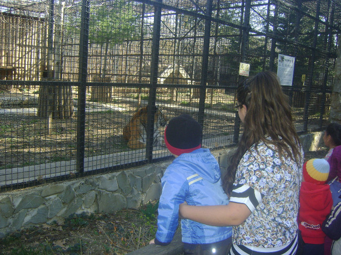 la zoo_2 fratiori cuminti :)