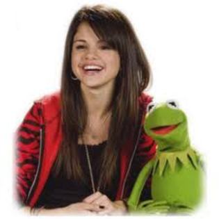 wow sely - Selena si Kermit