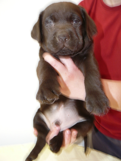 eee...sunt frumos..nu-i asa