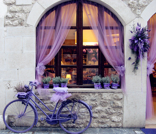in apartament...fara bicicleta aia:]]