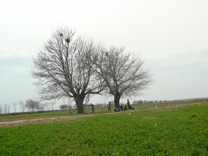 P1370964 - 2012 -Școala altfel - miercuri