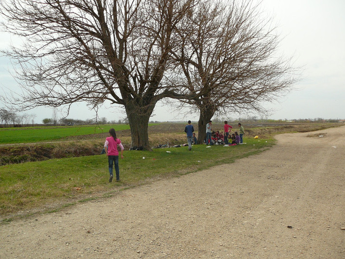 P1370968 - 2012 -Școala altfel - miercuri
