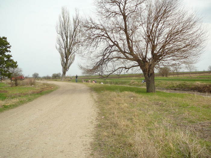 P1370969