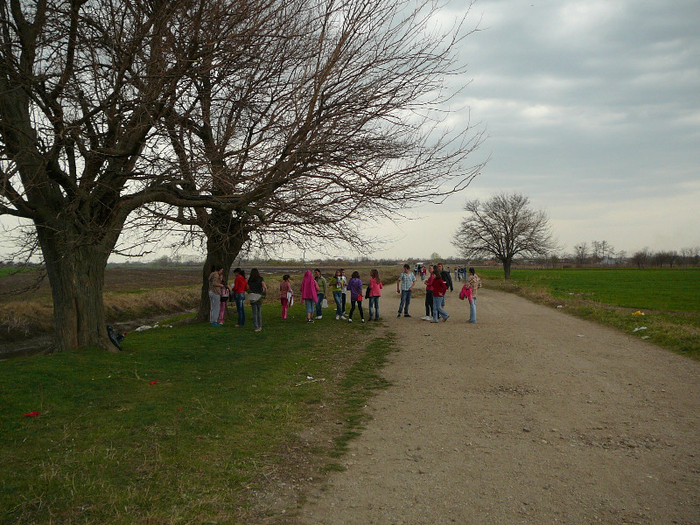 P1380024 - 2012 -Școala altfel - miercuri