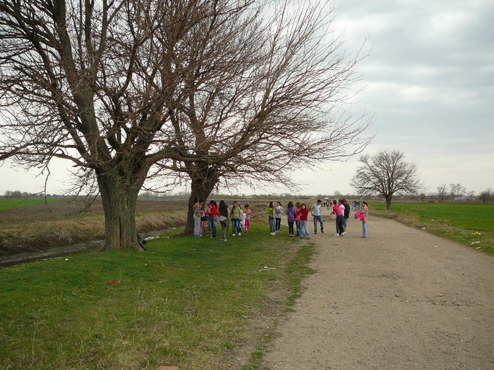 P1380025 - 2012 -Școala altfel - miercuri