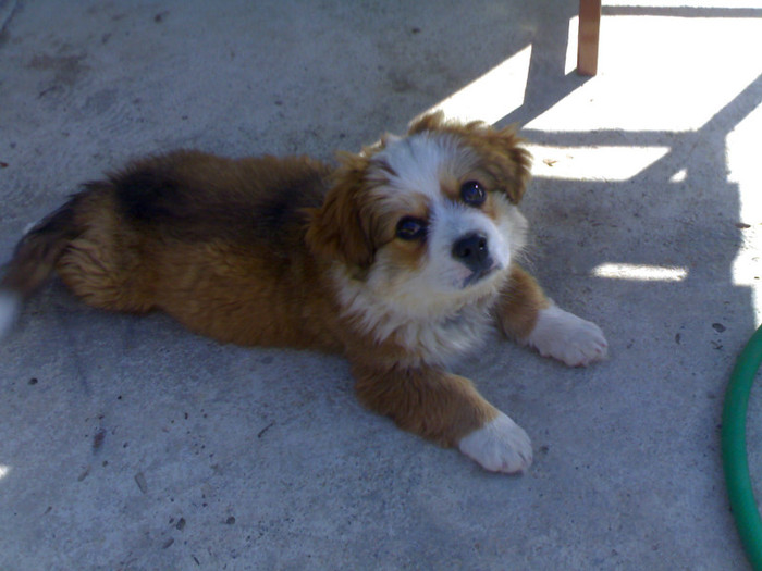 270920091529; Bobyta
