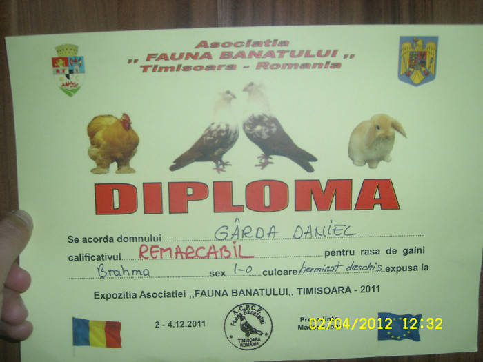 SL731859 - DIPLOME SI MEDALII