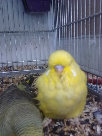Picture 048 - aprilie 2012