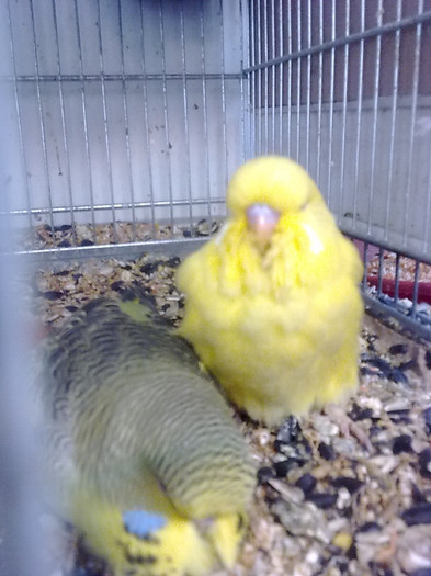 Picture 051 - aprilie 2012