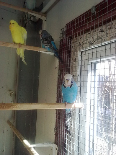 Picture 062 - aprilie 2012
