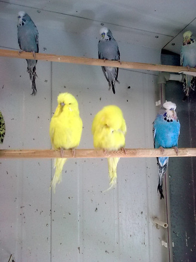Picture 064 - aprilie 2012