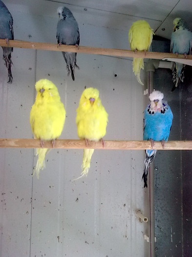 Picture 067 - aprilie 2012