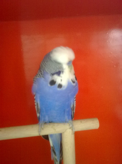 Picture 069 - aprilie 2012