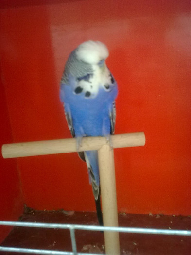 Picture 072 - aprilie 2012