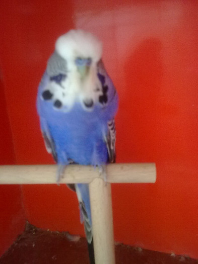 Picture 073 - aprilie 2012