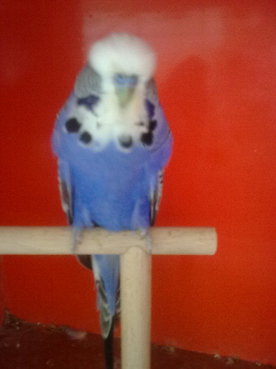 Picture 074 - aprilie 2012